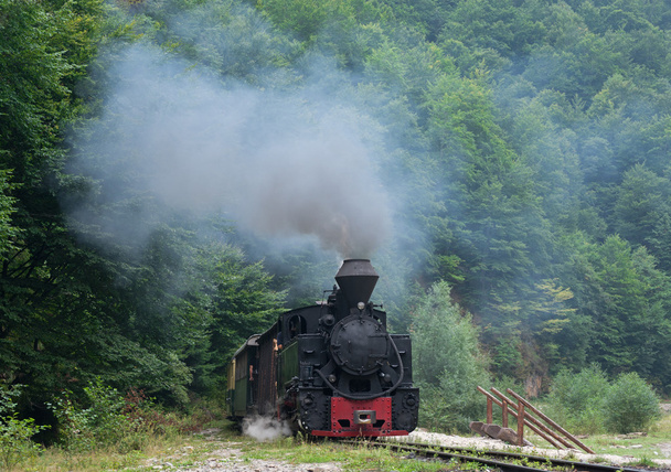 retro drewnem lokomotywa - Zdjęcie, obraz