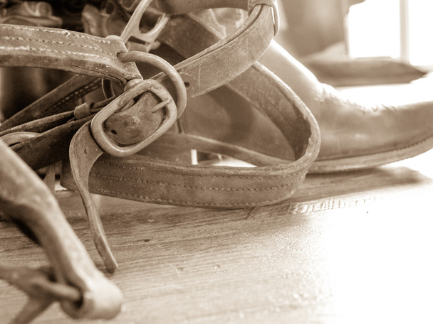 Leder hoofdstel, laarzen in achtergrond - Foto, afbeelding