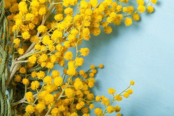 Fresh spring mimosa close up - Foto, afbeelding