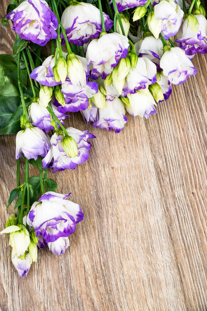 EUSTOMA λουλούδια σε φόντο ξύλινη - Φωτογραφία, εικόνα