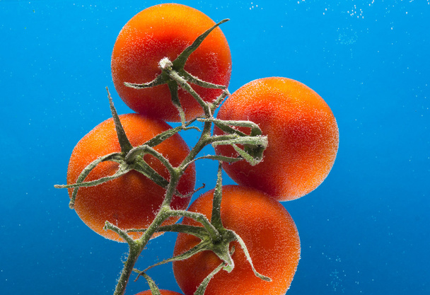 Plasterek pomidorowy wpadający do wody na niebieskim tle - Zdjęcie, obraz