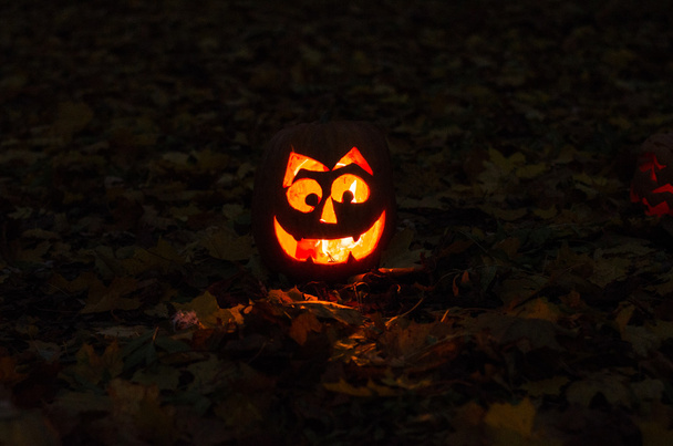 Halloween pompoen thema - Foto, afbeelding