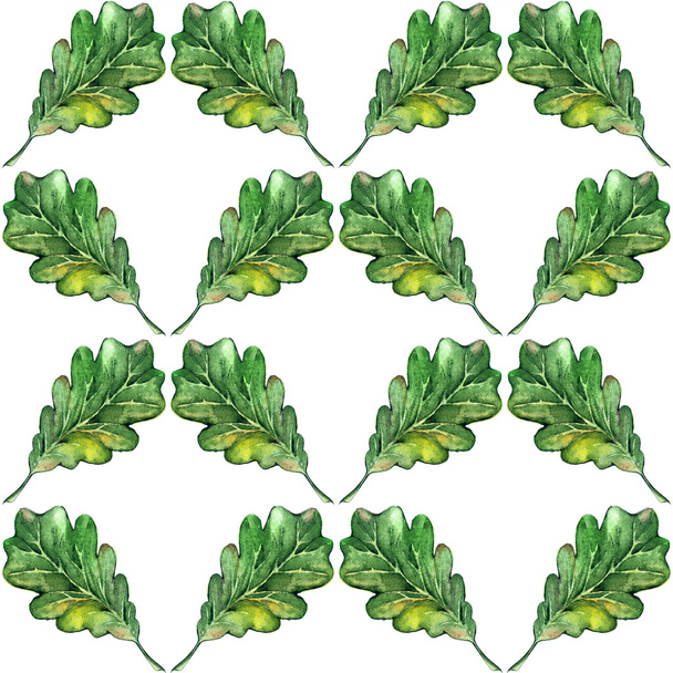 Watercolor three oak green leaf acorn seed seamless pattern background - Valokuva, kuva