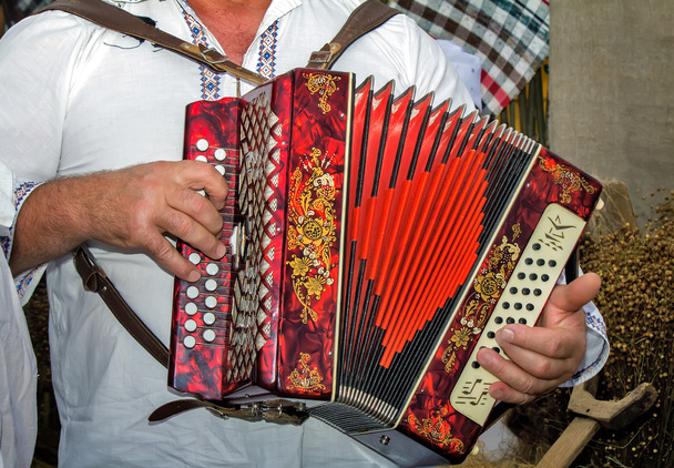 Orosz népi hangszer - a harmonika. - Fotó, kép