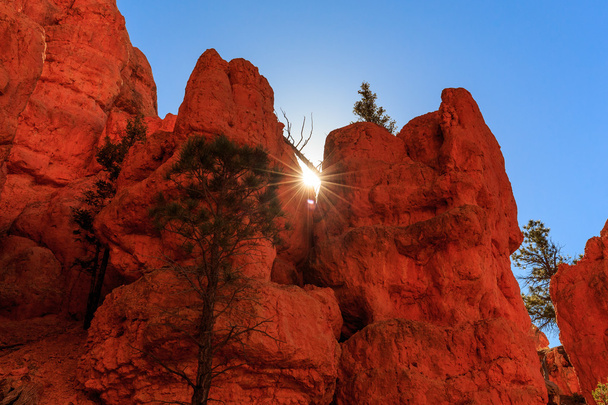Hoodoos v Red Canyon v Utahu, Usa. - Fotografie, Obrázek
