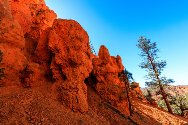Hoodoos in Red Canyon in Utah, Verenigde Staten. - Foto, afbeelding