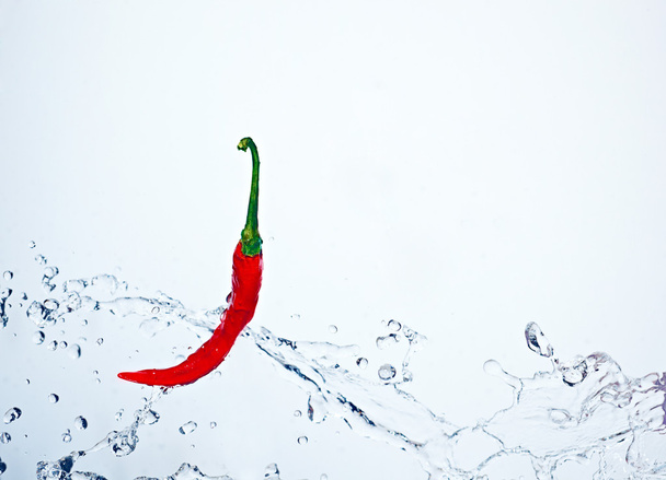 Spicy chilly underwater - Фото, изображение