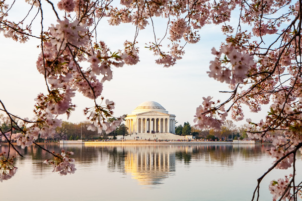 Thomas Jefferson Memorial - Zdjęcie, obraz