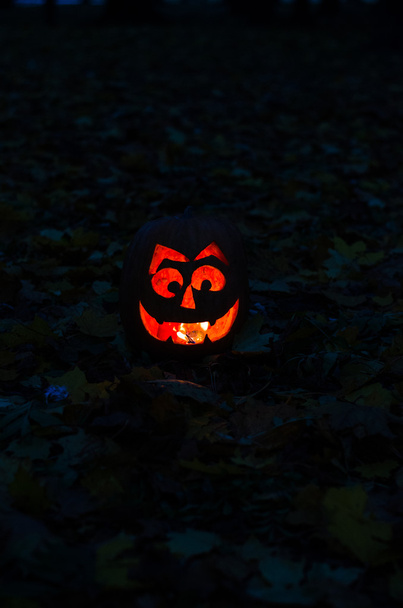 Halloween dynia tematu - Zdjęcie, obraz