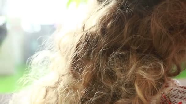 fryzjer sprawia, że cięcia dla dorosłych kobieta - Materiał filmowy, wideo