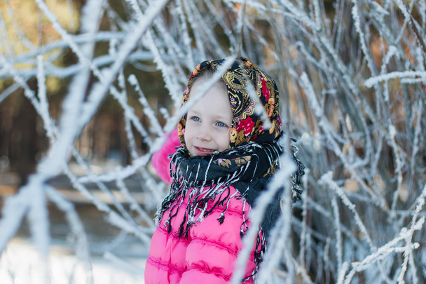 portrait of a girl in Russian shawl - Фото, зображення