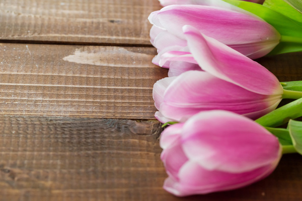 beautiful pink tulips - Photo, Image