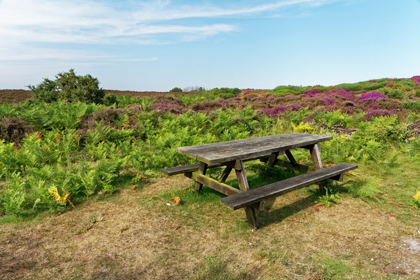 Landscape with moorland and a wooden picnic table - Photo, Image