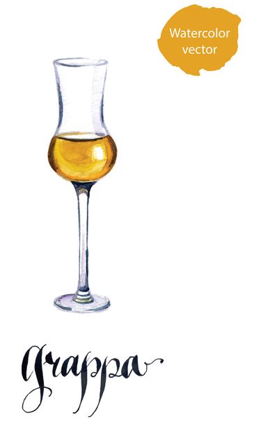 Glass of Italian grappa brandy - Vector, Image