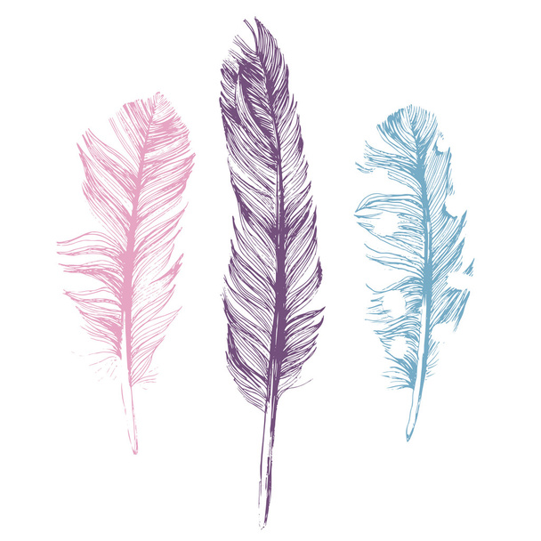 Hand drawn feathers on white background - Vector, afbeelding
