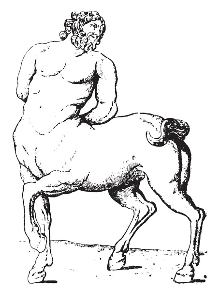Centaur, vintage engraving. - Vector, Image