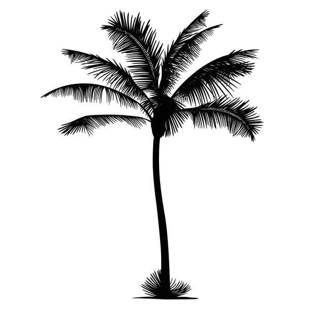 palm tree silhouette - Vector, Image