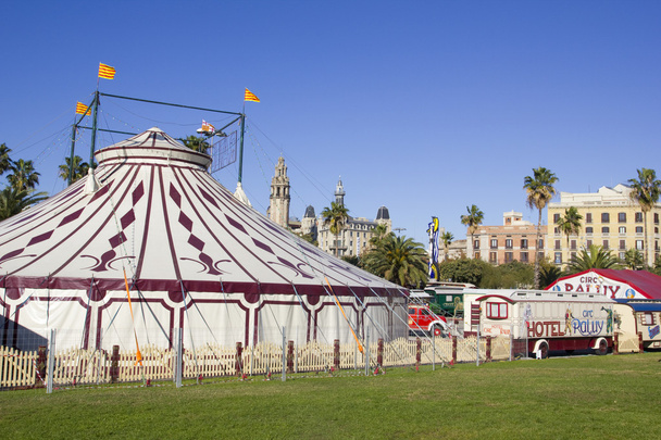 Carp of circus. - Photo, Image