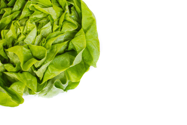 green fresh salad - Foto, Bild