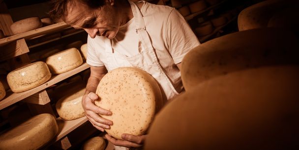 Cheese maker cleaning cheeses in his workshop - Foto, imagen