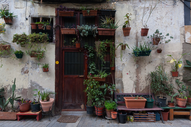 Potted plants on the wall of an old elder house - Photo, image