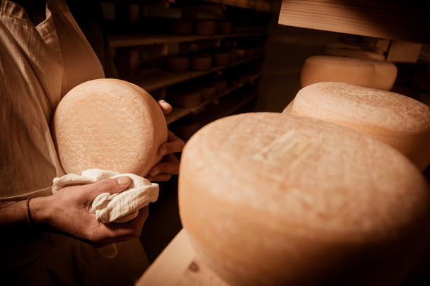 Cheese maker cleaning cheeses in his workshop - Photo, image