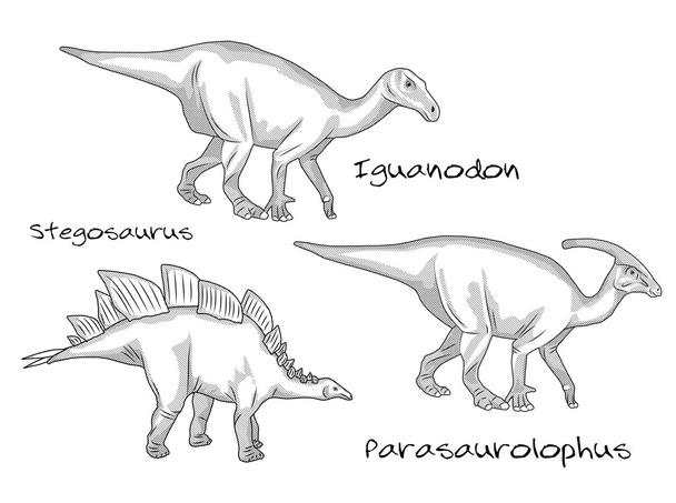 Illustrazioni in stile incisione sottile, vari tipi di dinosauri preistorici, include stegosauro, parasaurologo, iguanodon
 - Vettoriali, immagini