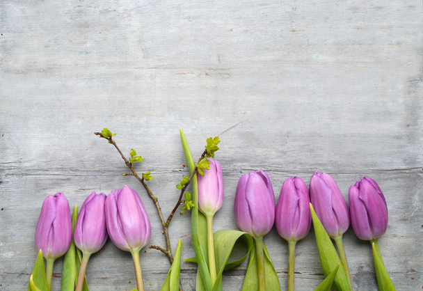 Fondo de madera gris antiguo con tulipanes blancos púrpura, nevada y cocodrilo y espacio de copia vacío, decoración de primavera verano
 - Foto, Imagen