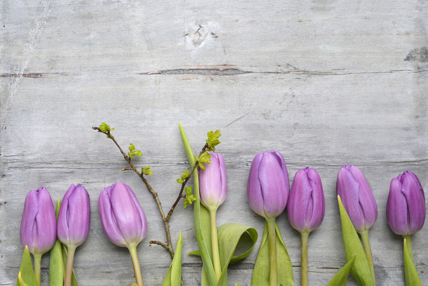 alter grauer Holzhintergrund mit lila weißen Tulpen, Schneeglöckchen und Krokussen und leerem Kopierraum, Frühlingssommerdekoration - Foto, Bild