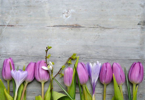 Fundo de madeira cinza velho com tulipas brancas roxas, snowdrop e crocus e espaço de cópia vazio, decoração de verão primavera
 - Foto, Imagem