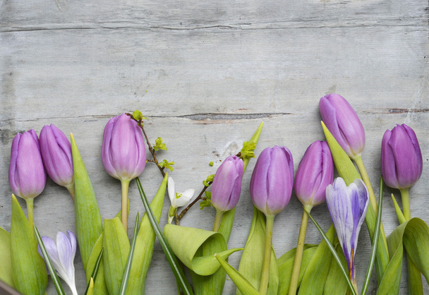 Oude grijs houten achtergrond met paars witte tulpen, snowdrop en crocus en lege kopie ruimte, lente zomer decoratie - Foto, afbeelding