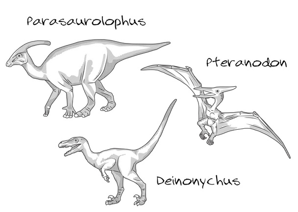 Illustrazioni in stile incisione sottile, vari tipi di dinosauri preistorici, include parasaurolofo, pteranodonte, deinonichio
 - Vettoriali, immagini