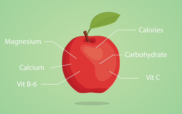 apple nutrition illustration with list of nutritions detail - Vektor, obrázek