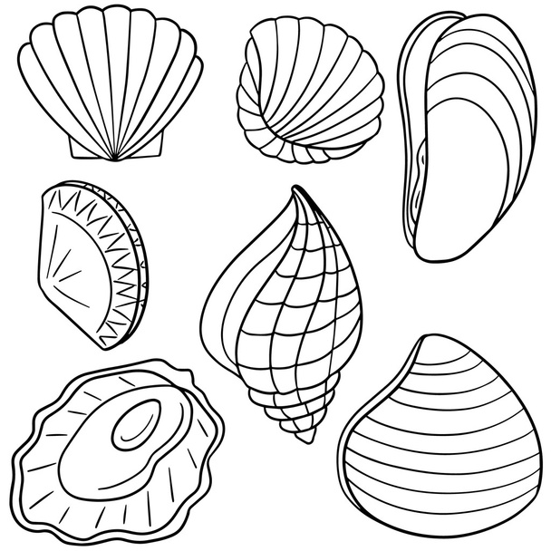 vector set van shell - Vector, afbeelding