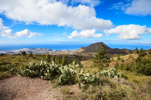 Hermoso paisaje de Tenerife - El Teide
 - Foto, Imagen