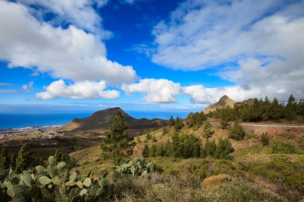 Prachtige landschap Tenerife - El Teide - Foto, afbeelding