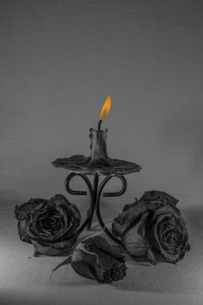 kynttilä mustavalkoisena - Valokuva, kuva