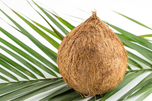 Celá kokosy s listy na bílém pozadí - Fotografie, Obrázek