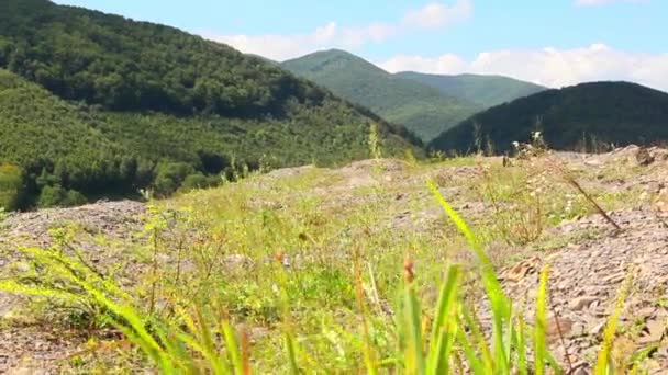 Piękne góry z zielonej trawie - Materiał filmowy, wideo