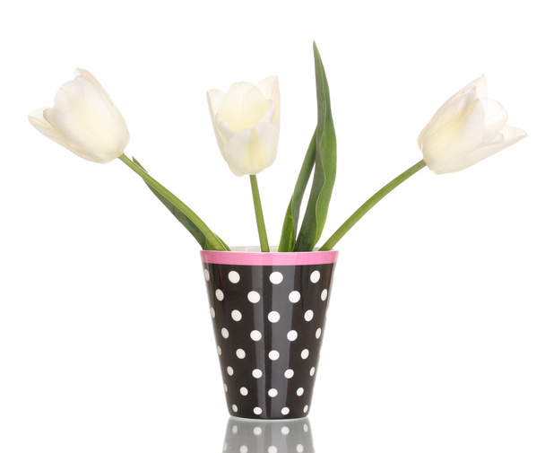 Beautiful tulips in vase isolated on white - Foto, afbeelding