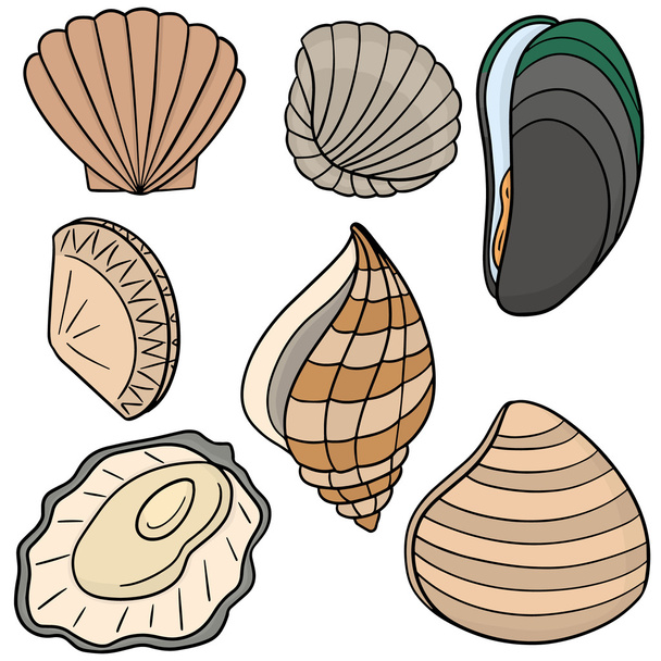 conjunto vetorial de shell
 - Vetor, Imagem