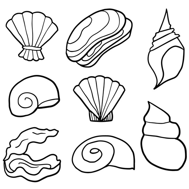 vector set van shell - Vector, afbeelding