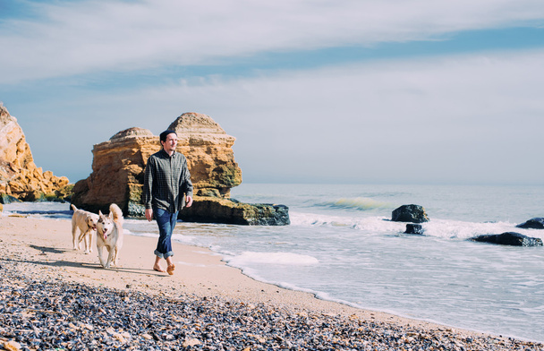 чоловік гуляє з сестринським хаскі і лабрадорським собакою на пляжі
 - Фото, зображення
