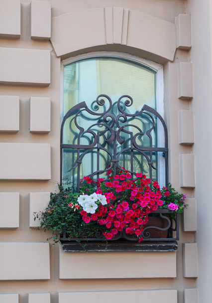 Window in a classic style and a box of flowers. Architecture - Foto, Imagen