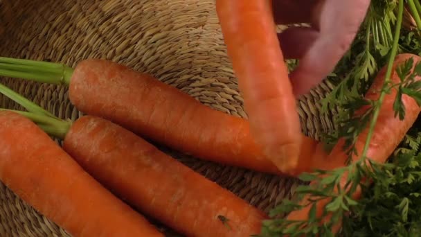 Φρέσκα καρότα κήπων και φρέσκο καθαρισμένα καρότα - Πλάνα, βίντεο