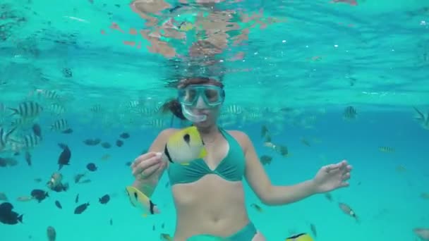 SLOW MOTION UNDERWATER: Woman snorkeling and feeding exotic reef fish - Felvétel, videó