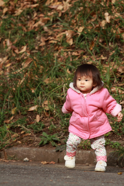 Japonesa toddling chica (1 año viejo
) - Foto, imagen