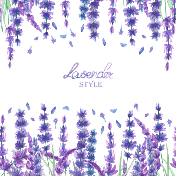 Kortti malli, runko raja akvarelli laventeli kukkia, häät kutsu
 - Valokuva, kuva
