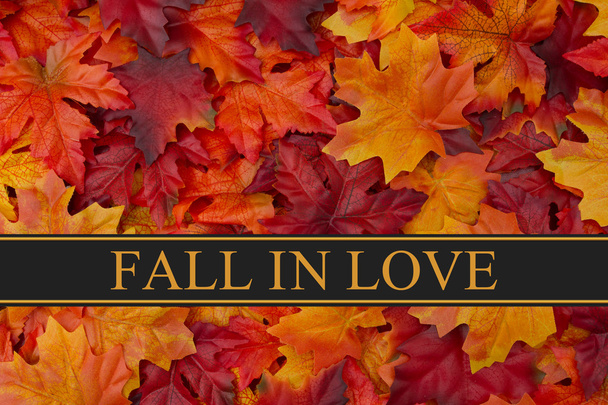 Fall In Love Message - Photo, Image