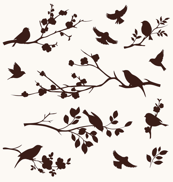 bird and twigs silhouettes - Vector, afbeelding